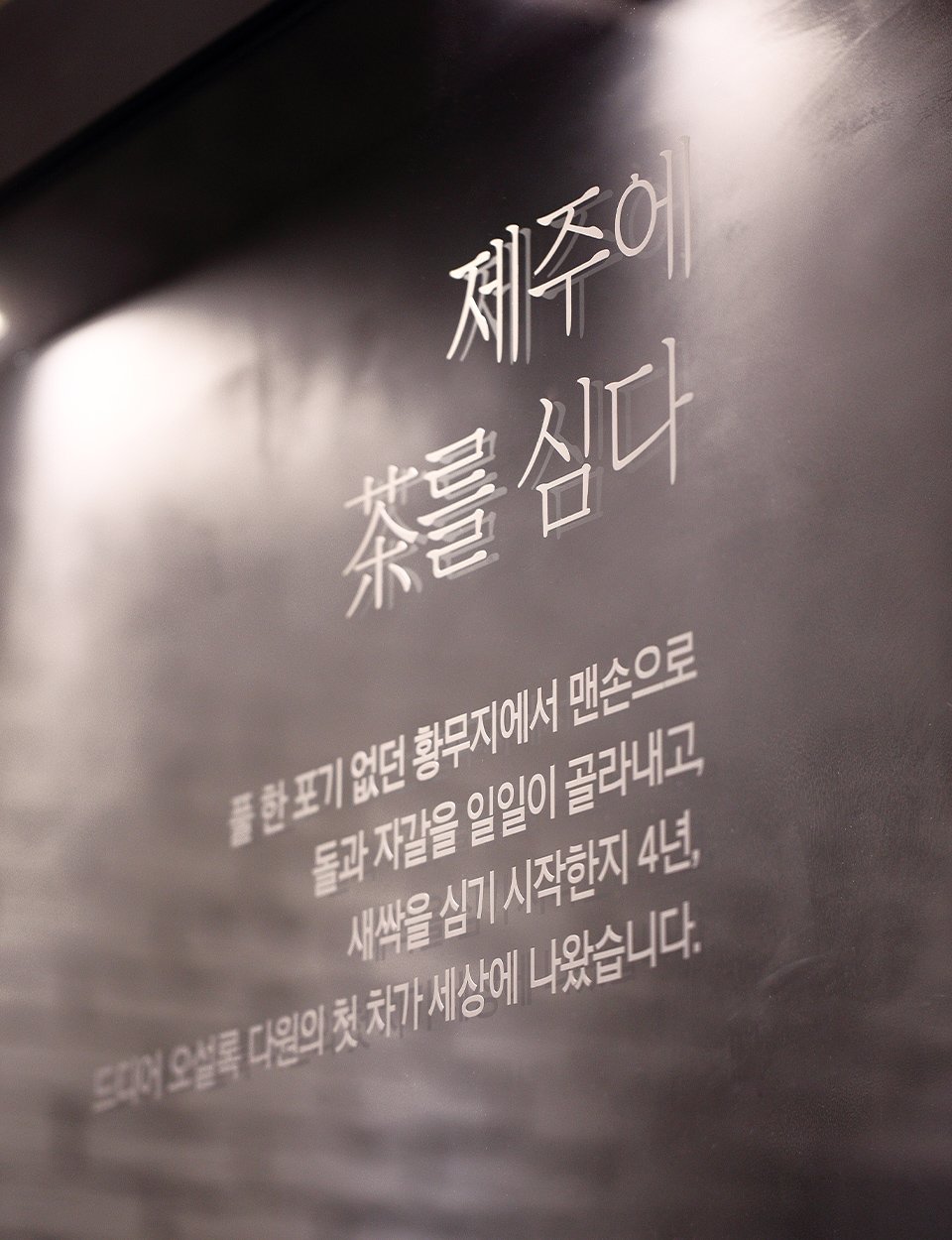 OSULLOC Tea House Cheonggyecheon Branch 오설록 티하우스 청계천점 image-asset-7