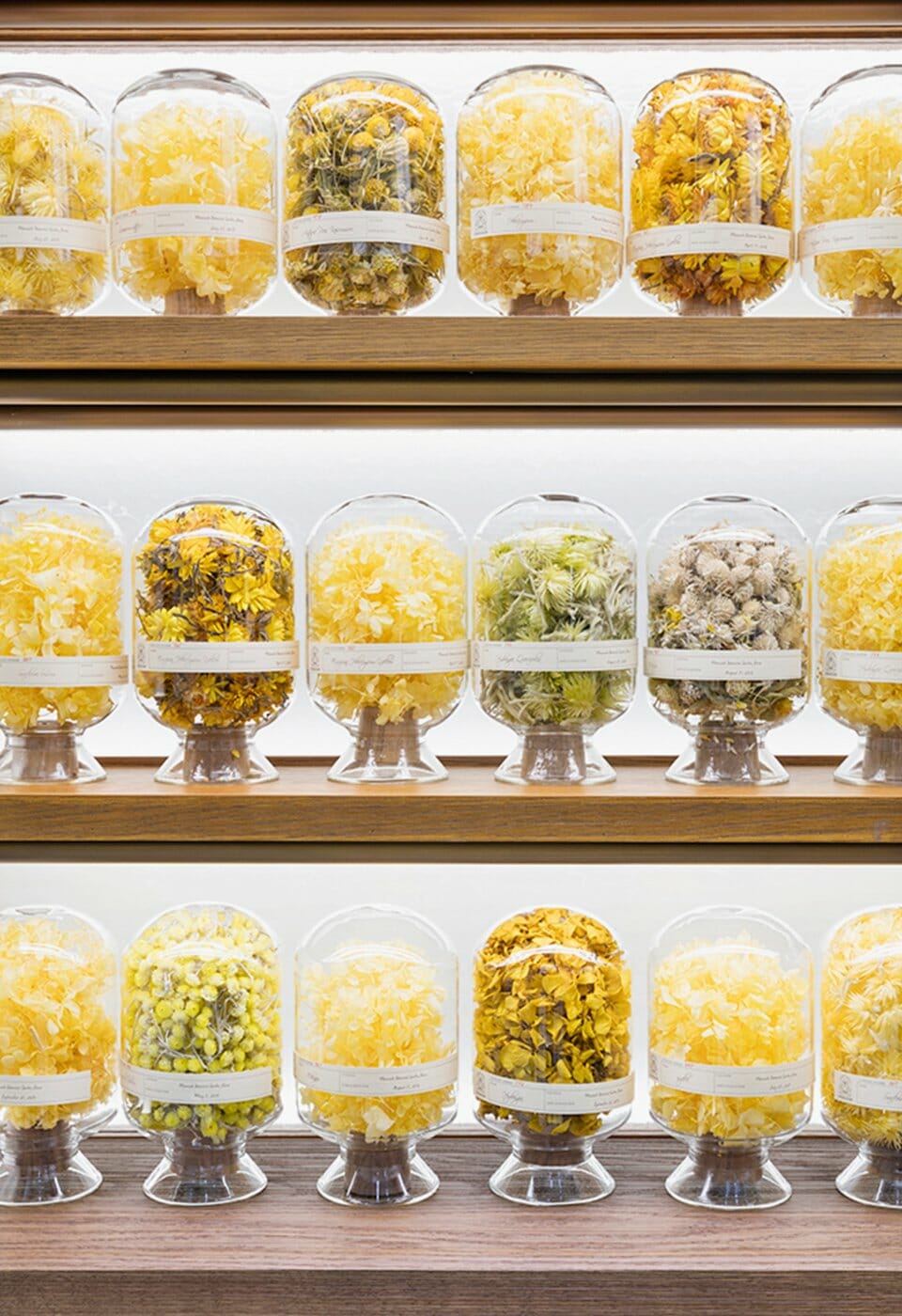 Mamonde Flagship store 'Mamonde Boutique' in Myeongdong 명동 마몽드 플래그십스토어 '마몽드 부티크' image4-57