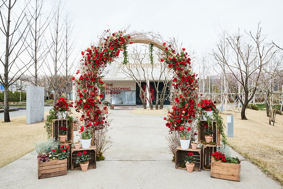 Mamonde Garden Special Exhibition 마몽드 가든 특별전 Mamonde_body_08