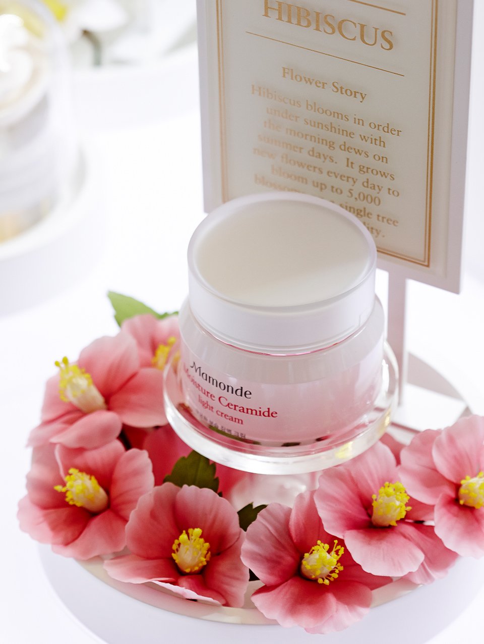 Mamonde new space open in Thailand 마몽드 태국 남몽완점 오픈 image12-17