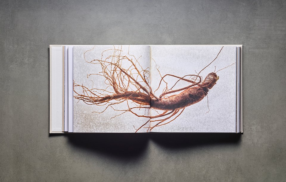The Brand Book, Fifty Years of Sulwhasoo 설화수 50년 브랜드북 image3-109