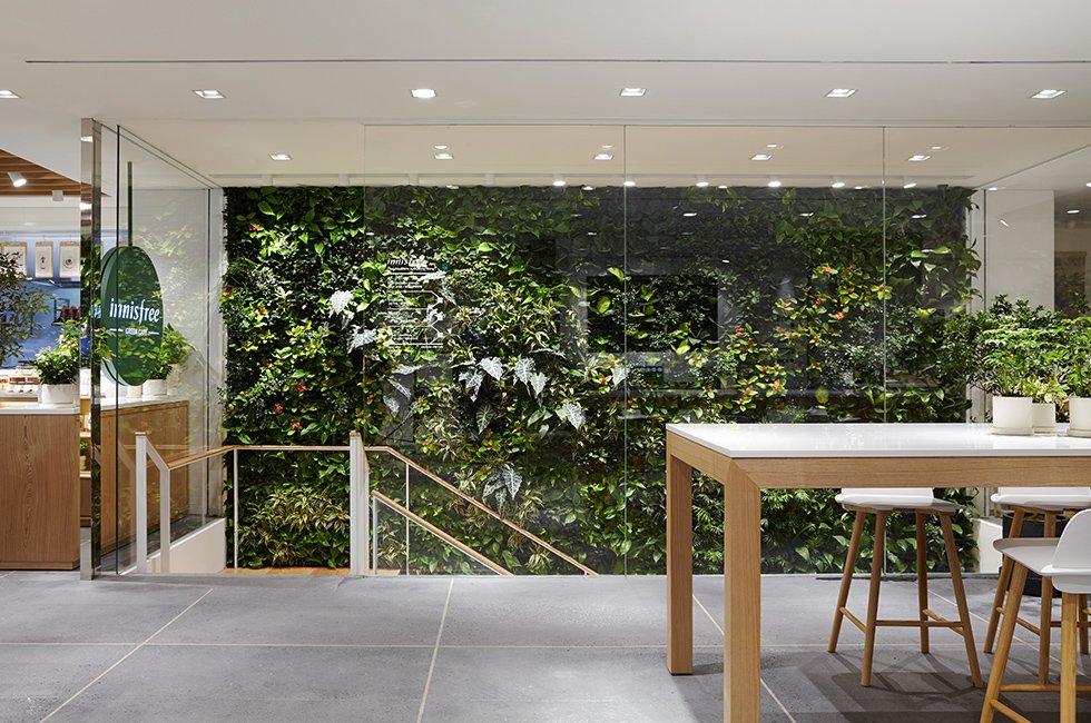 Innisfree Flagship Store Open in Myeongdong 이니스프리 명동 플래그십 스토어 1-4-7