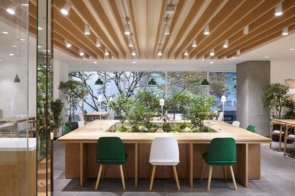 Innisfree Flagship Store Open in Myeongdong 이니스프리 명동 플래그십 스토어 1-11-1
