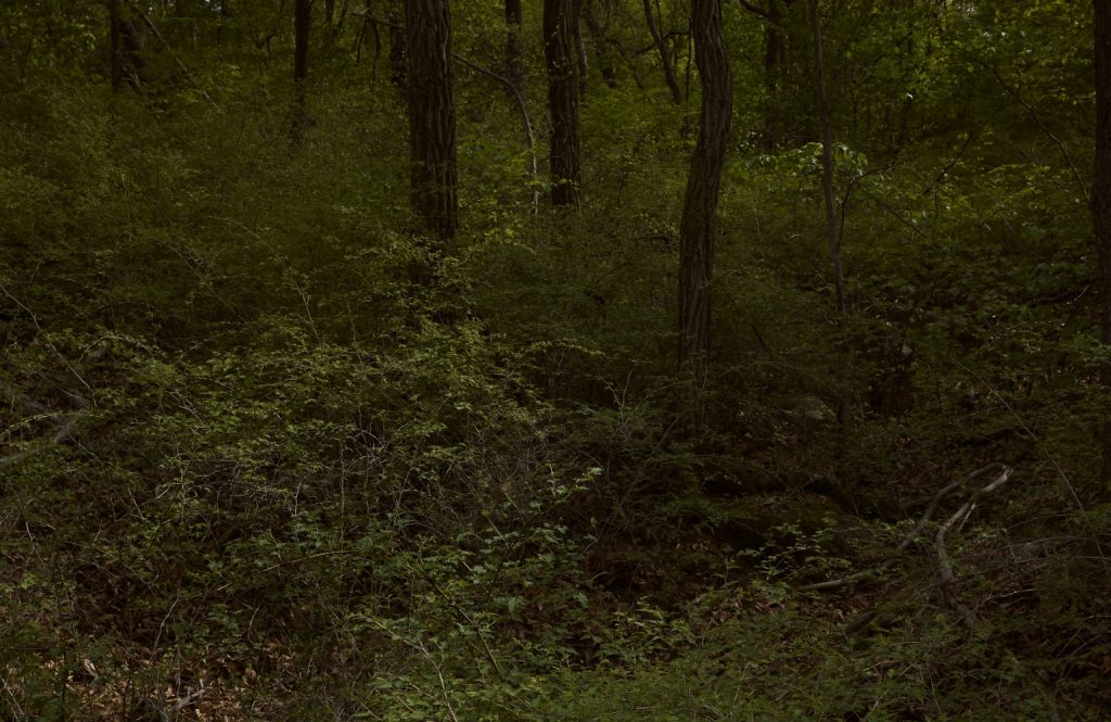 2022 primera x Helinox collaboration limited edition's work list thumbnail