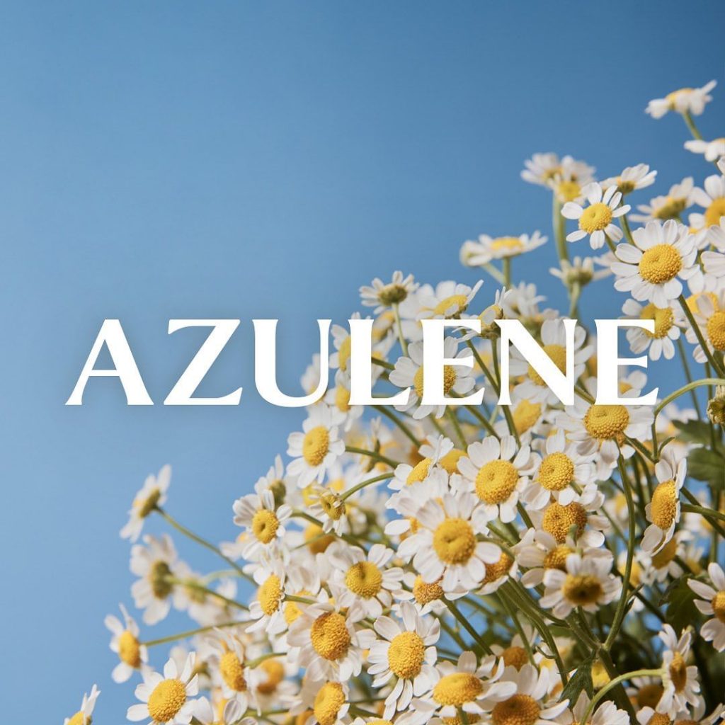 Thumbnail for Now List Item