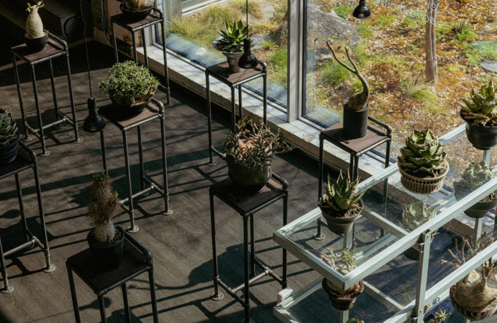 NEVER STOP PLANTING POP-UP's work list thumbnail