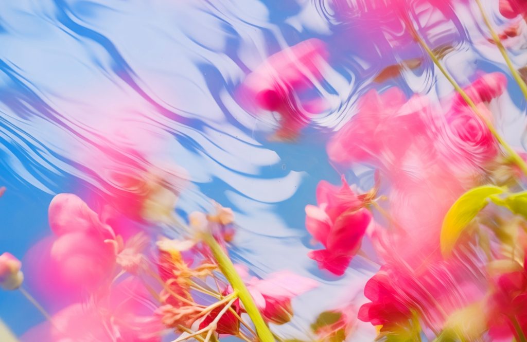 Powered by Hyper-Flora Visual Contents's work list thumbnail