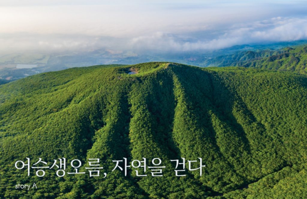 Exhibitions that awaken ecological sensibilities<br/>| Eoseungsaeng Oreum, walking through nature's work list thumbnail