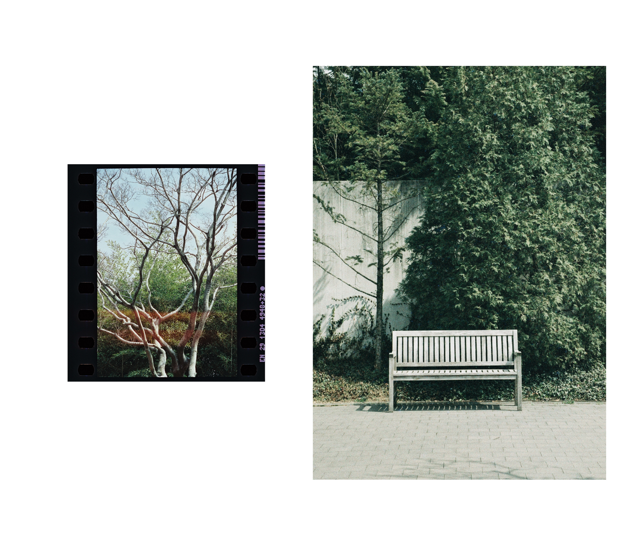 2024 osan botanical garden photography project 오산식물원 촬영 프로젝트 24_57_10_sld_01