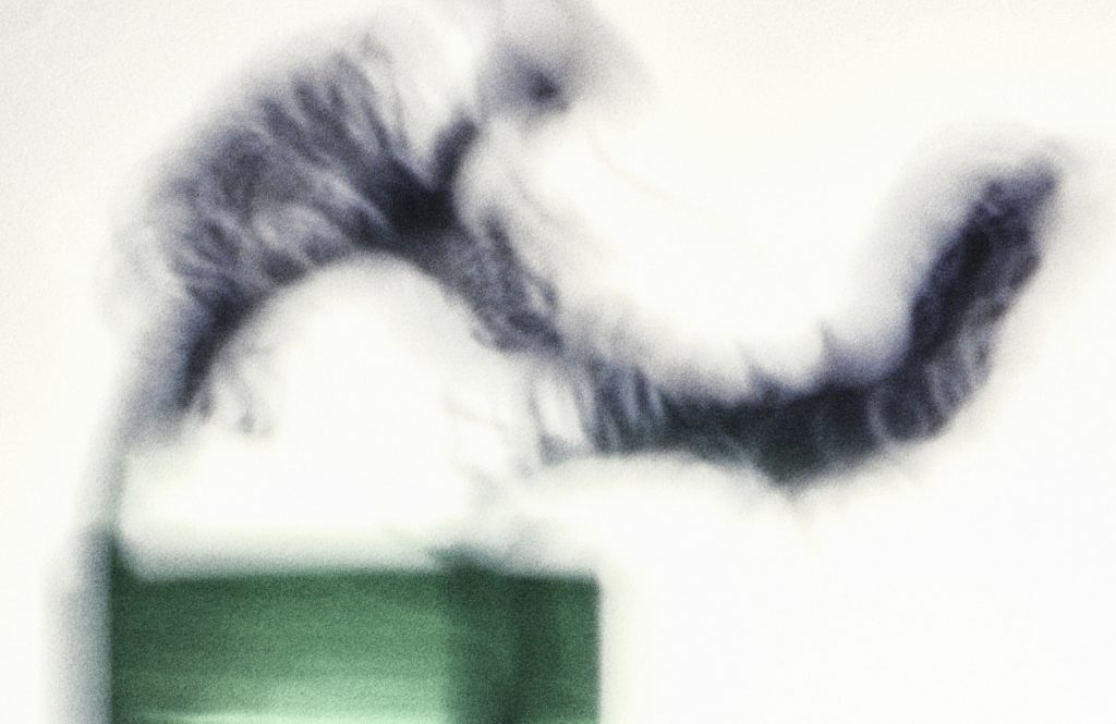 PUZZLE WOOD_Dreamy plants_Scent Wick's work list thumbnail