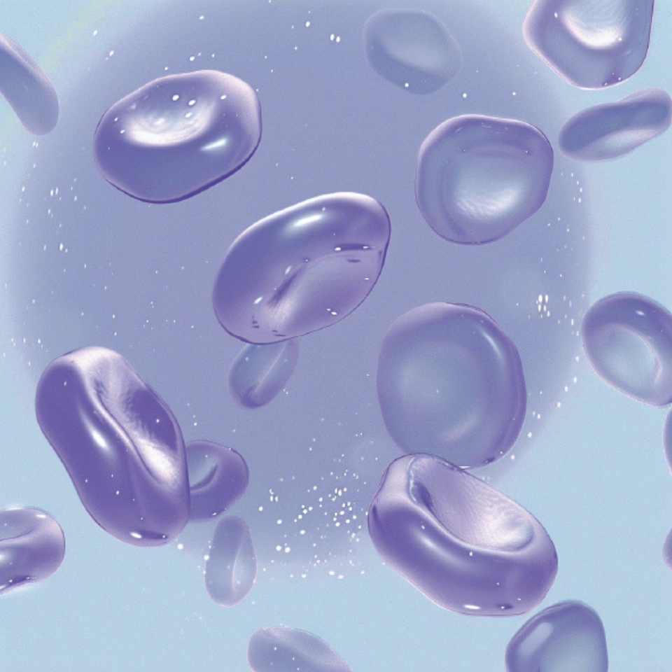 INGREDIENT VISUALIZATION PROJECT | AMOREPACIFIC Creative Partners 생성형 AI 활용한 주요 전성분 시각화 25_06_11_da3_01