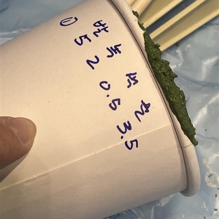 A stone object made from upcycled Osulloc green tea leaves 오설록 폐녹차를 활용한 스톤 오브제 25_22_08_da4_00