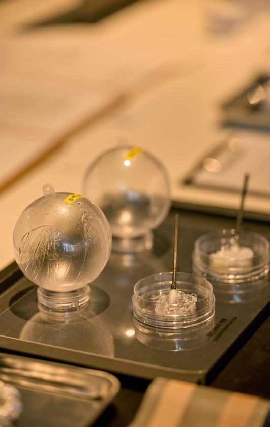 [EXHIBITION] The House of Beauty Scientists _Busan 뷰티 과학자의 집展 25_25_11_da3_02