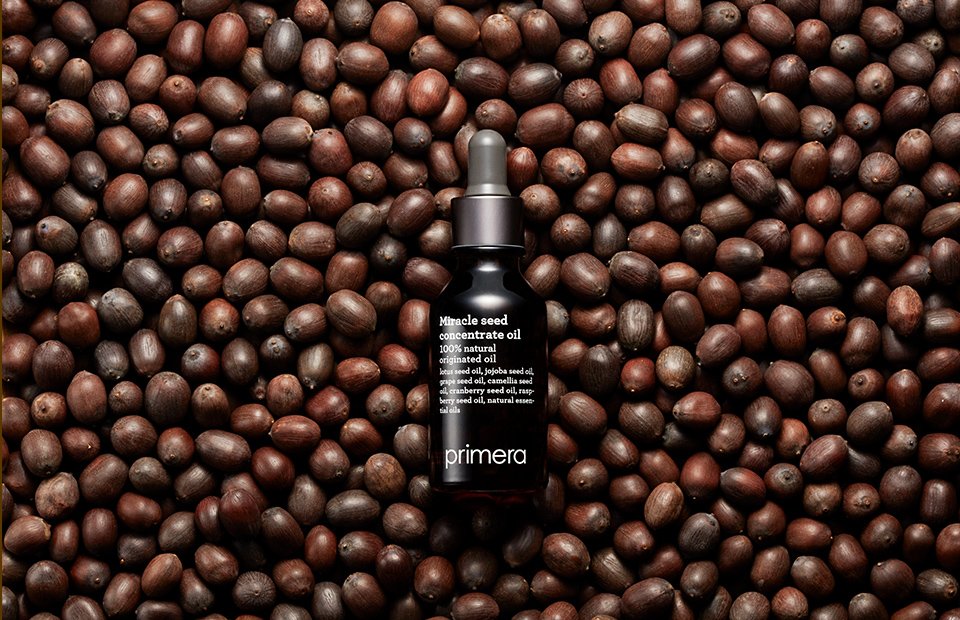 Primera Miracle Seed Concentrate Oil 프리메라 미라클 씨드 컨센트레이트 01