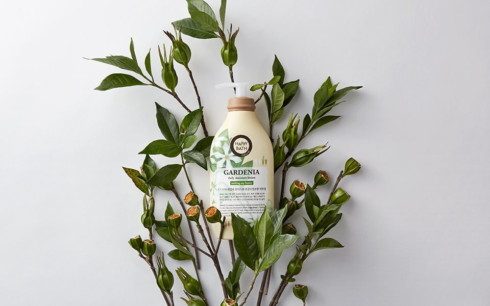 Happy Bath Gardenia line design 해피바스 가드니아 라인 디자인 00