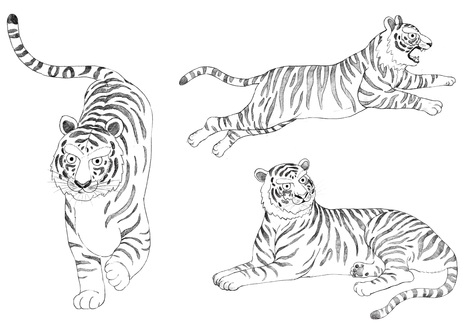 Hanyul Tiger Campaign Limited Edition 날아라 호랑이 캠페인 리미티드 에디션 Project 03_03