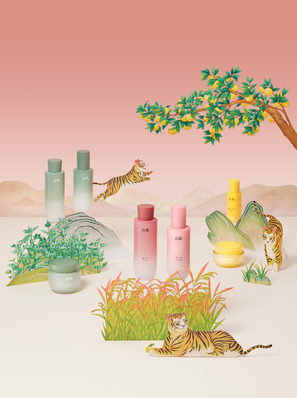 Hanyul Tiger Campaign Limited Edition 날아라 호랑이 캠페인 리미티드 에디션 Project 03_09