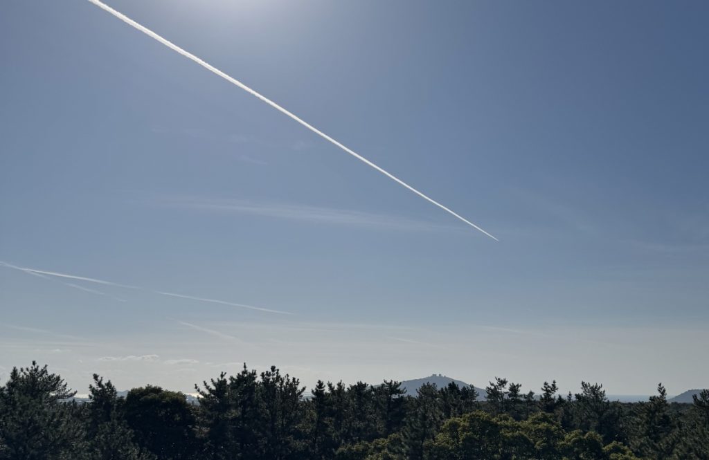 BY25 Creative Center Insight Tour 's work list thumbnail