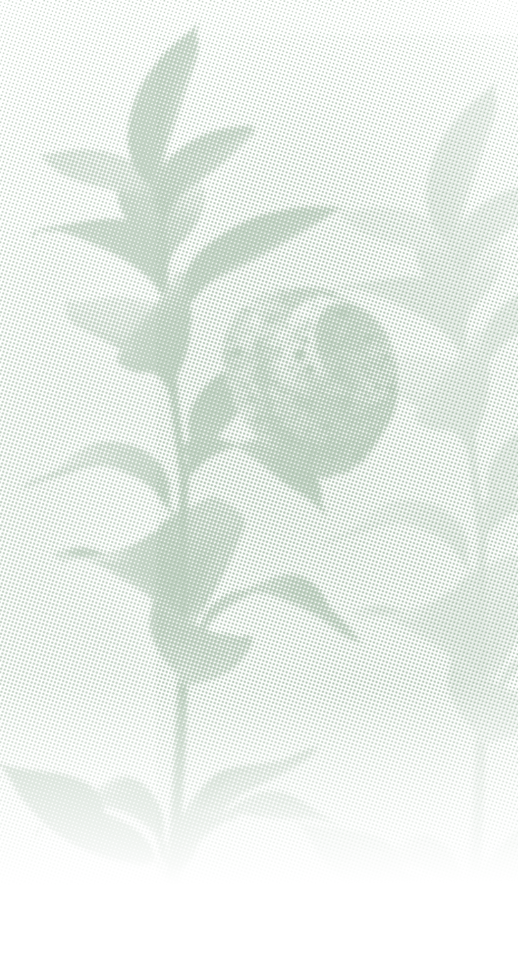 A stone object made from upcycled Osulloc green tea leaves 오설록 폐녹차를 활용한 스톤 오브제 mob_25_22_10