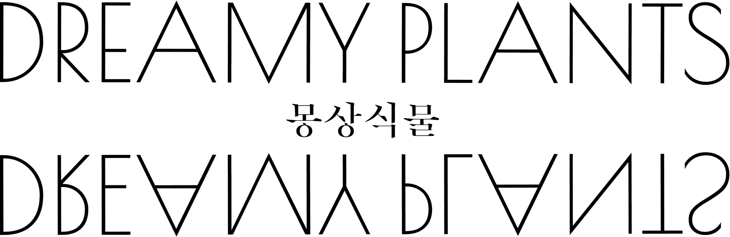 PUZZLE WOOD ‘DREAMY PLANTS’ GRAPHIC & PACKAGE DESIGN 퍼즐우드 ‘몽상식물’ 그래픽 & 패키지 디자인 25_48_04