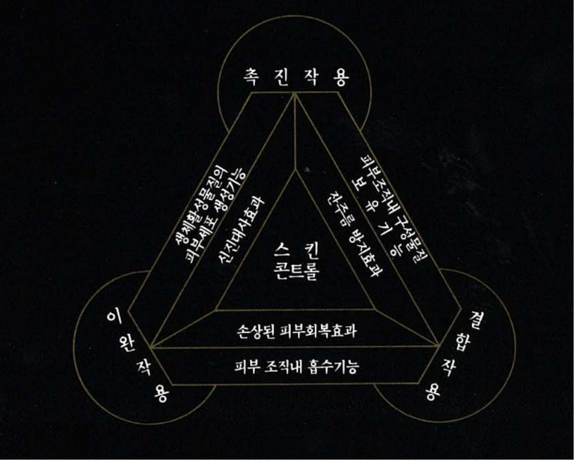 IOPE XMD STEM III Design Renewal 아이오페 엑스엠디 스템3 디자인 리뉴얼 25_39_00_da2_01