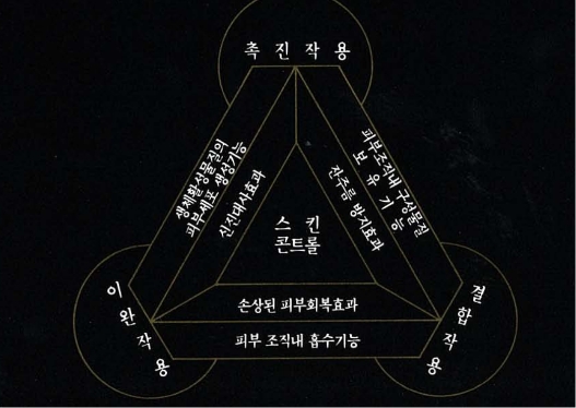 IOPE XMD STEM III Design Renewal 아이오페 엑스엠디 스템3 디자인 리뉴얼 mob_25_39_00_da2_01