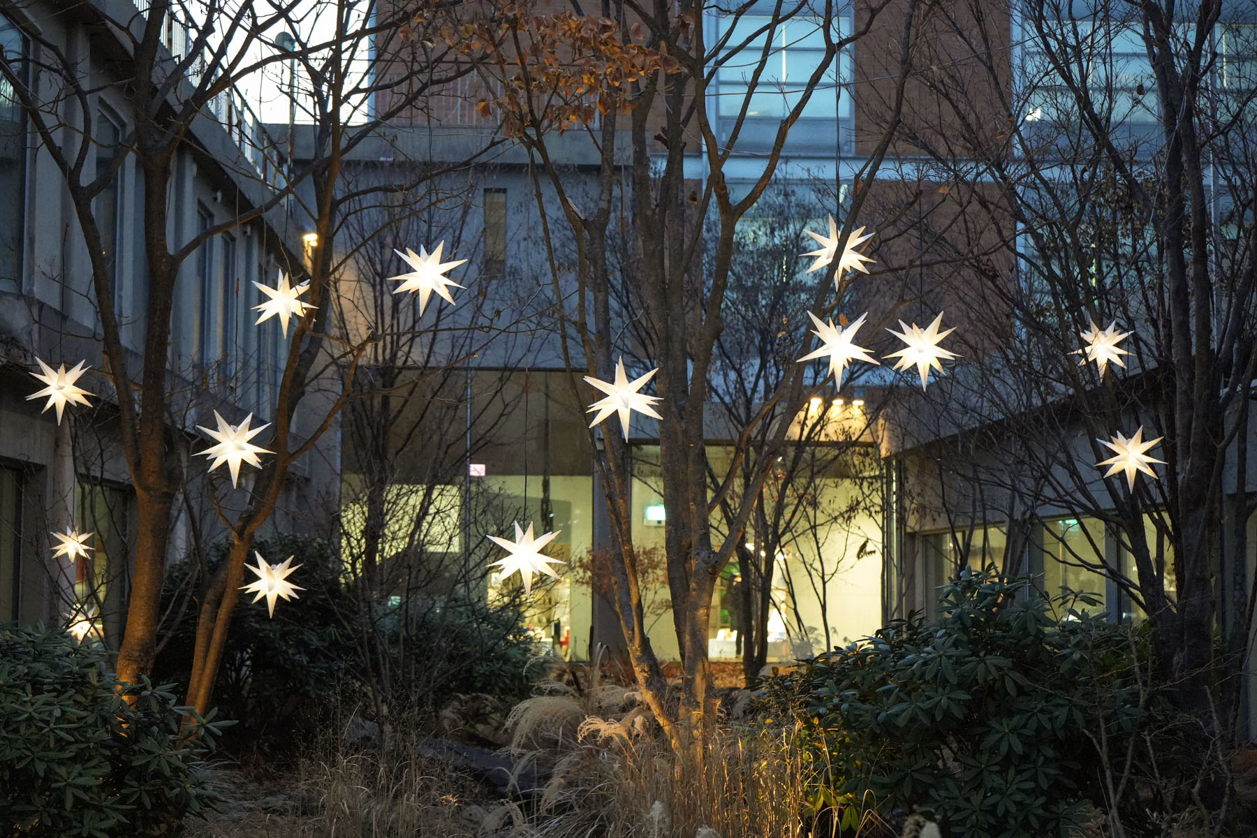 STARRY MOMENTS 아모레성수 겨울 프로모션 Starry Moments 26_20_01_sld_01