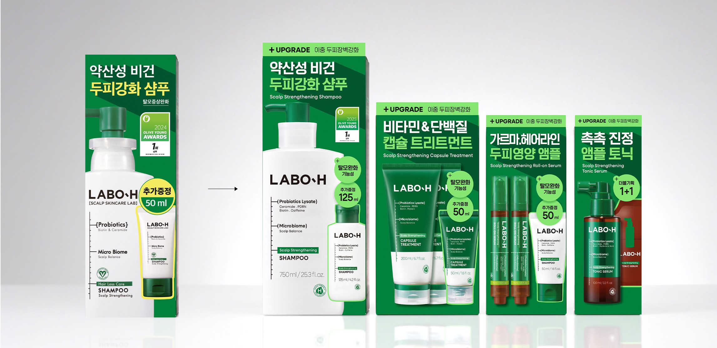 LABO-H Scalp Strengthening Line Design Advance 라보에이치 두피강화클리닉 라인 AD 26_48_14