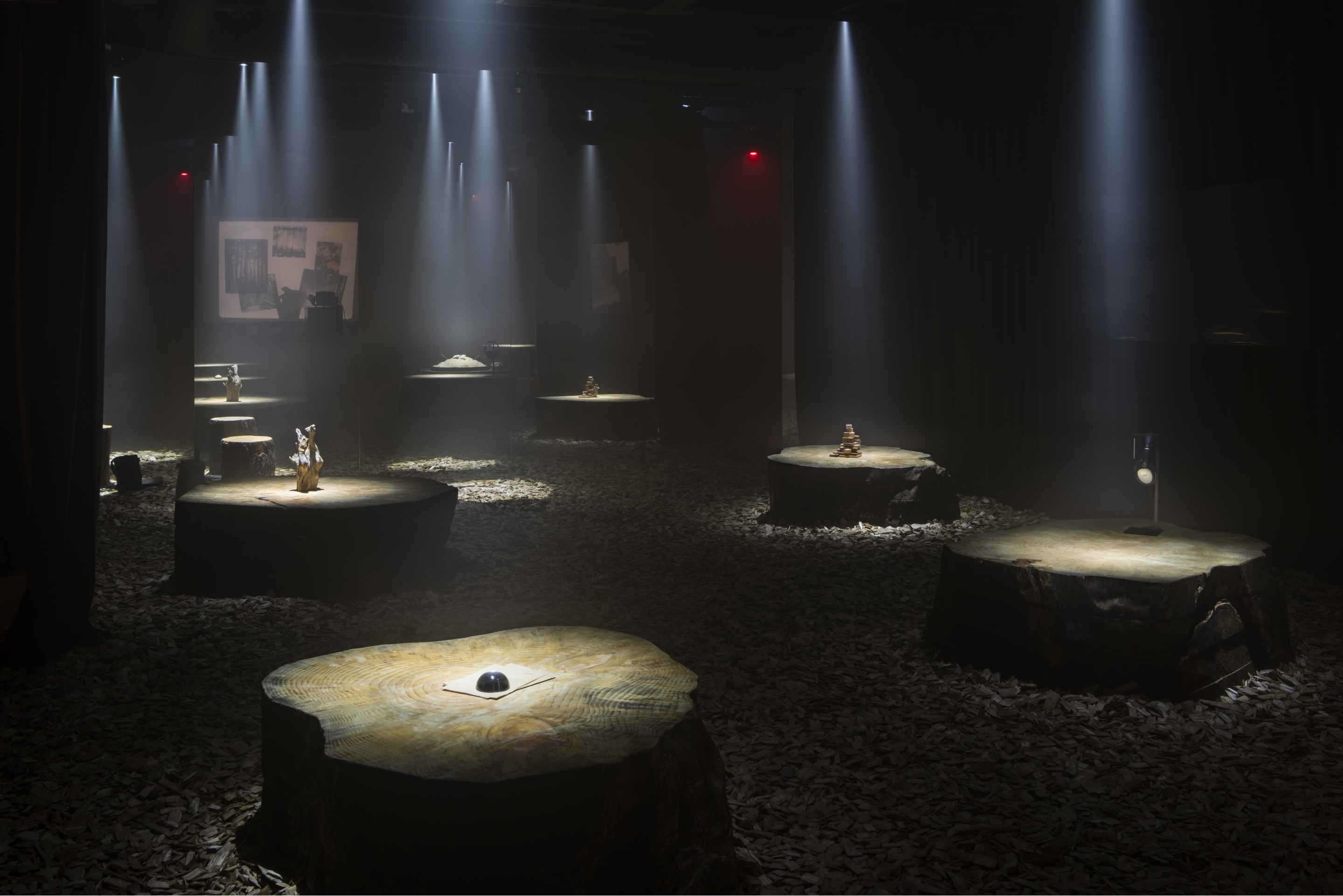 AVANT-GARTE, AN EXQUISITE SENSE OF SCENT, CONTINUITY Longtake, 향과 지속성에 관한 예민한 감각 展